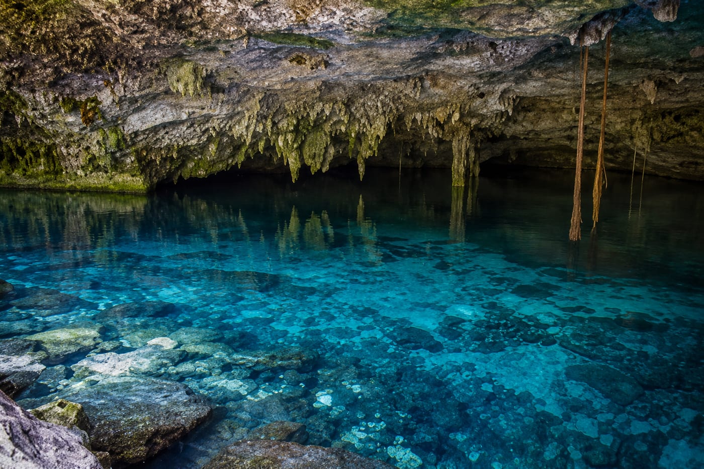 Cenote Dos Ojos · Saturday Tour